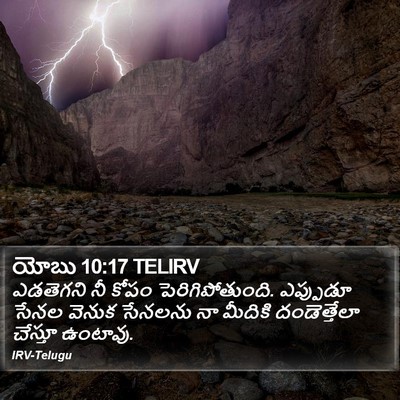 యోబు 10:17 TELIRV Bible Verse Image