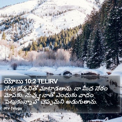 యోబు 10:2 TELIRV Bible Verse Image