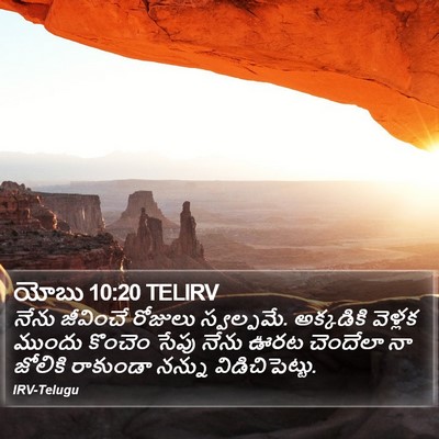 యోబు 10:20 TELIRV Bible Verse Image