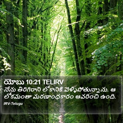 యోబు 10:21 TELIRV Bible Verse Image