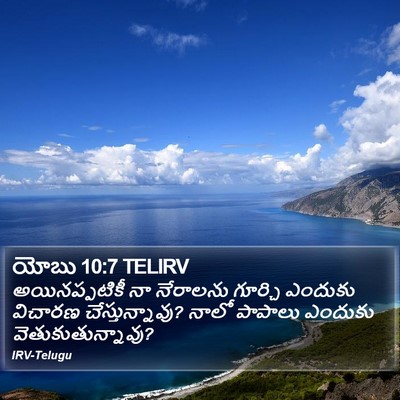 యోబు 10:7 TELIRV Bible Verse Image