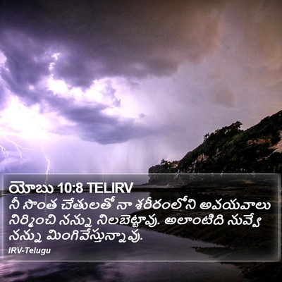 యోబు 10:8 TELIRV Bible Verse Image