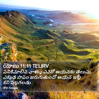 యోబు 11:11 TELIRV Bible Verse Image