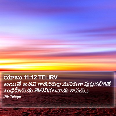 యోబు 11:12 TELIRV Bible Verse Image