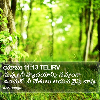 యోబు 11:13 TELIRV Bible Verse Image
