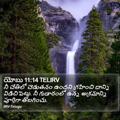 యోబు 11:14 TELIRV Bible Verse Image