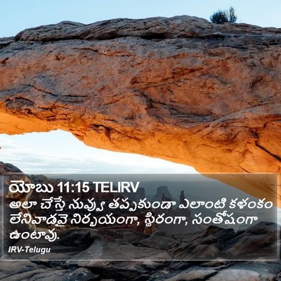 యోబు 11:15 TELIRV Bible Verse Image