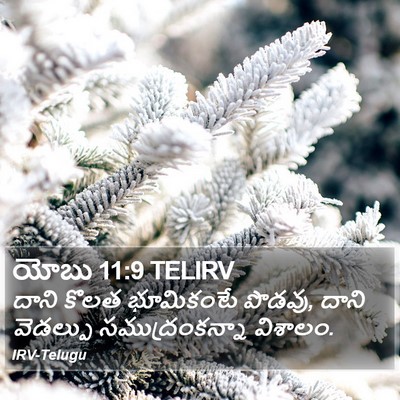 యోబు 11:9 TELIRV Bible Verse Image