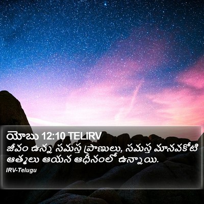 యోబు 12:10 TELIRV Bible Verse Image