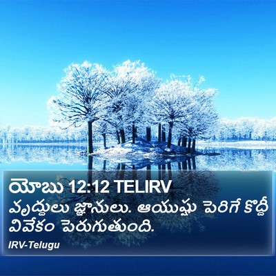 యోబు 12:12 TELIRV Bible Verse Image