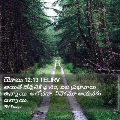యోబు 12:13 TELIRV Bible Verse Image