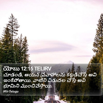 యోబు 12:15 TELIRV Bible Verse Image