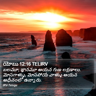 యోబు 12:16 TELIRV Bible Verse Image
