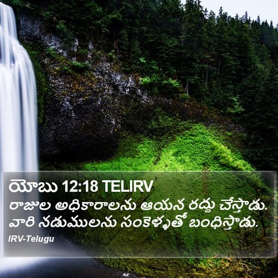 యోబు 12:18 TELIRV Bible Verse Image