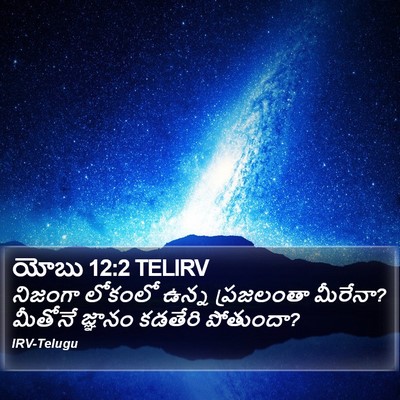 యోబు 12:2 TELIRV Bible Verse Image