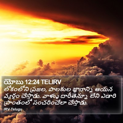 యోబు 12:24 TELIRV Bible Verse Image