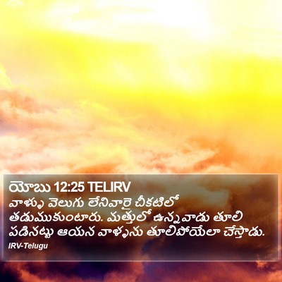 యోబు 12:25 TELIRV Bible Verse Image