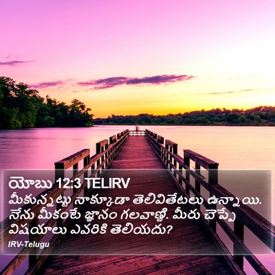 యోబు 12:3 TELIRV Bible Verse Image