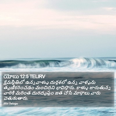 యోబు 12:5 TELIRV Bible Verse Image