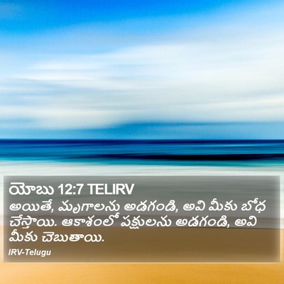 యోబు 12:7 TELIRV Bible Verse Image