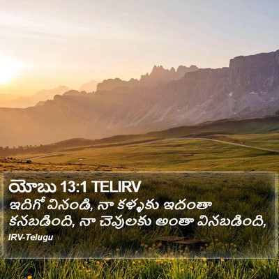 యోబు 13:1 TELIRV Bible Verse Image