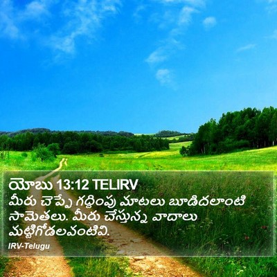 యోబు 13:12 TELIRV Bible Verse Image