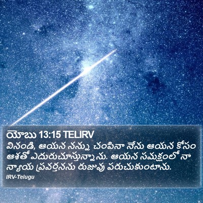 యోబు 13:15 TELIRV Bible Verse Image