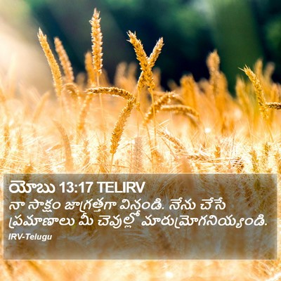 యోబు 13:17 TELIRV Bible Verse Image