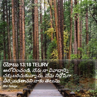యోబు 13:18 TELIRV Bible Verse Image