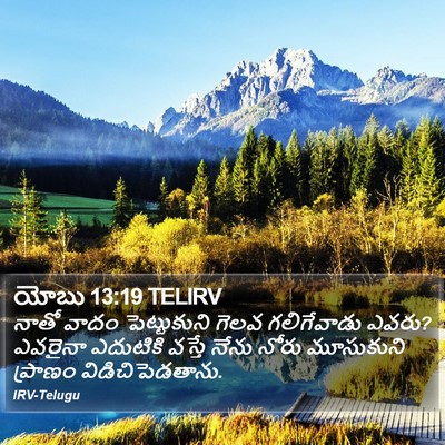 యోబు 13:19 TELIRV Bible Verse Image