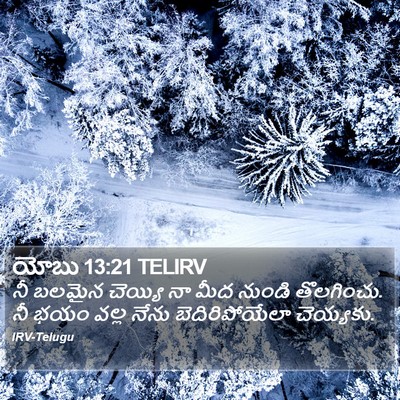 యోబు 13:21 TELIRV Bible Verse Image