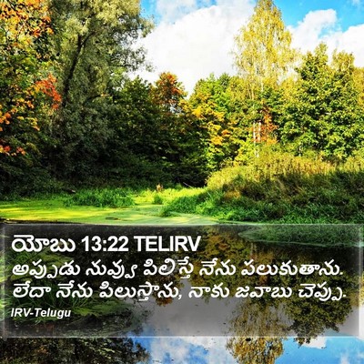 యోబు 13:22 TELIRV Bible Verse Image