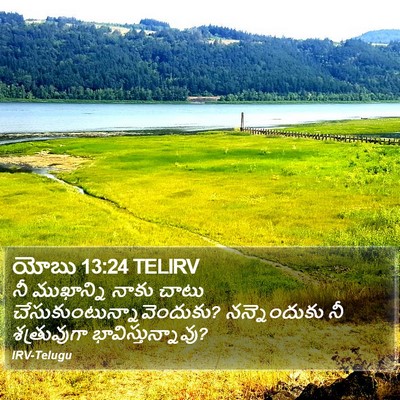 యోబు 13:24 TELIRV Bible Verse Image