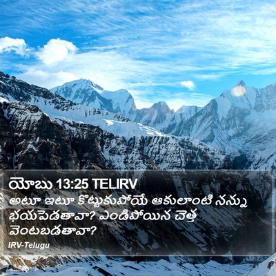 యోబు 13:25 TELIRV Bible Verse Image