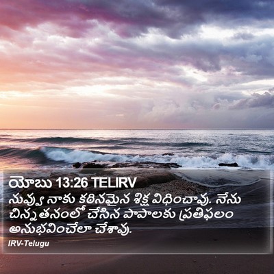 యోబు 13:26 TELIRV Bible Verse Image
