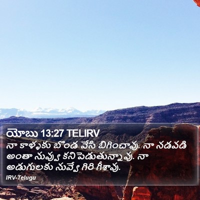 యోబు 13:27 TELIRV Bible Verse Image