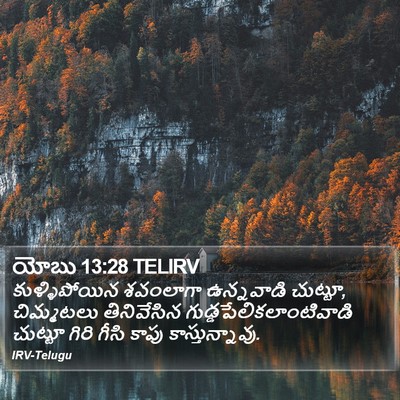 యోబు 13:28 TELIRV Bible Verse Image