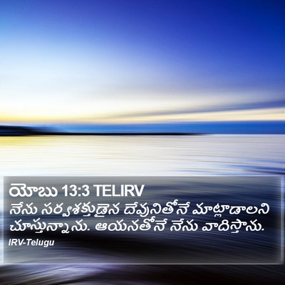 యోబు 13:3 TELIRV Bible Verse Image