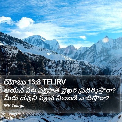 యోబు 13:8 TELIRV Bible Verse Image
