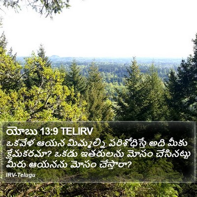 యోబు 13:9 TELIRV Bible Verse Image