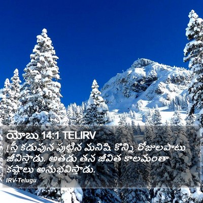 యోబు 14:1 TELIRV Bible Verse Image