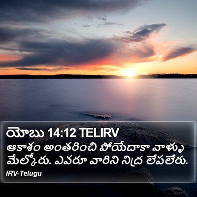 యోబు 14:12 TELIRV Bible Verse Image