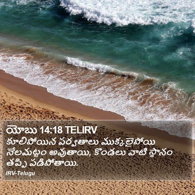 యోబు 14:18 TELIRV Bible Verse Image