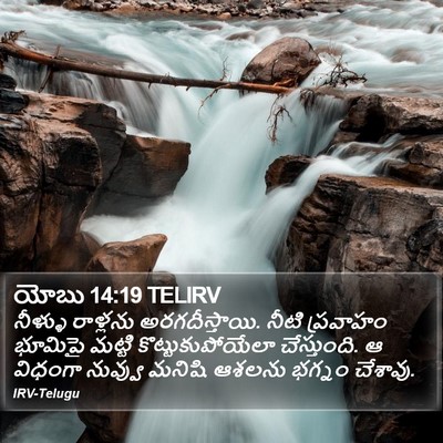 యోబు 14:19 TELIRV Bible Verse Image