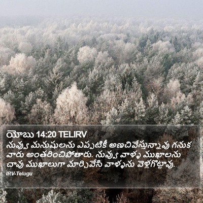 యోబు 14:20 TELIRV Bible Verse Image