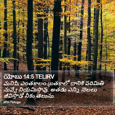 యోబు 14:5 TELIRV Bible Verse Image