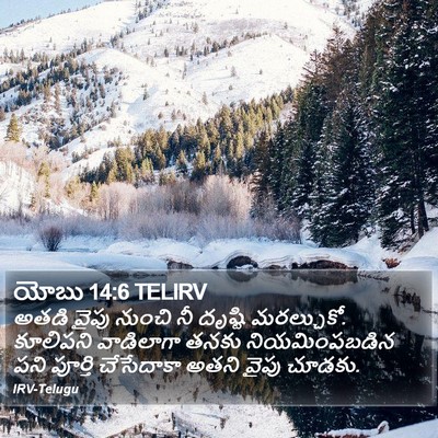 యోబు 14:6 TELIRV Bible Verse Image