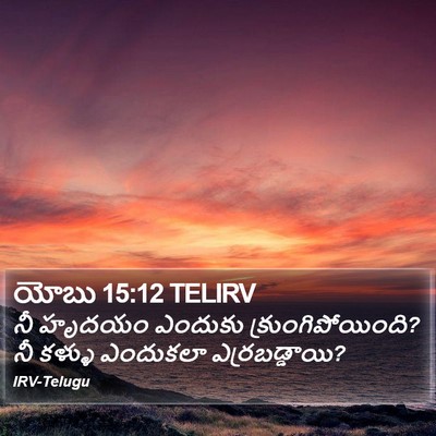 యోబు 15:12 TELIRV Bible Verse Image