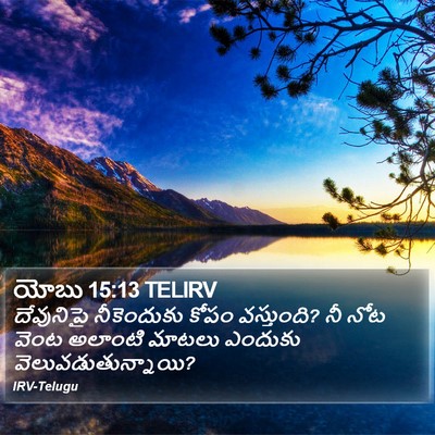 యోబు 15:13 TELIRV Bible Verse Image