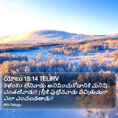 యోబు 15:14 TELIRV Bible Verse Image